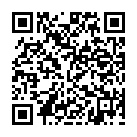 QR code for THY391