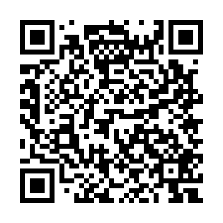 QR code for plate TIE-109