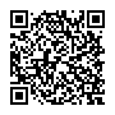QR code for plate TLH-141