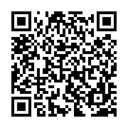 QR code for TNO-596