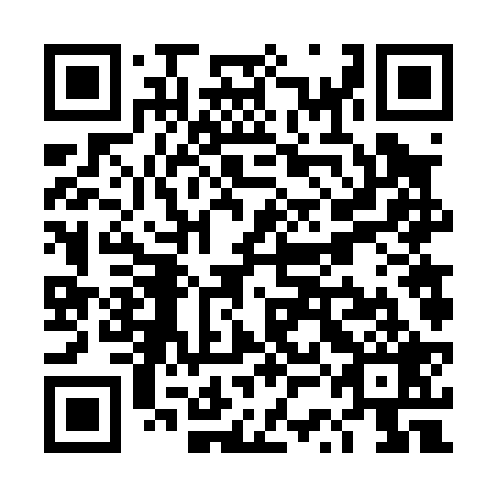 QR code for plate TSF-029