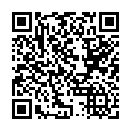 QR code for plate TSH-335