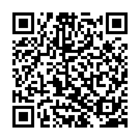 QR code for plate TXG-931