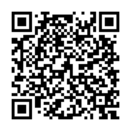 QR code for plate TXN-510