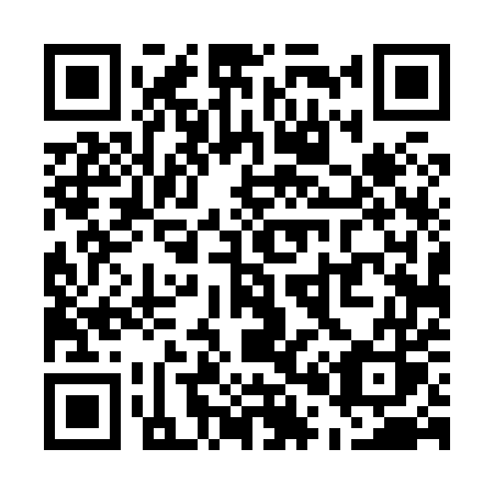 QR code for plate U04-85S