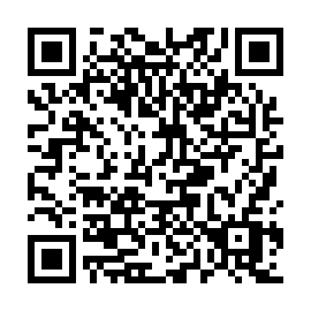 QR code for plate U08-13V