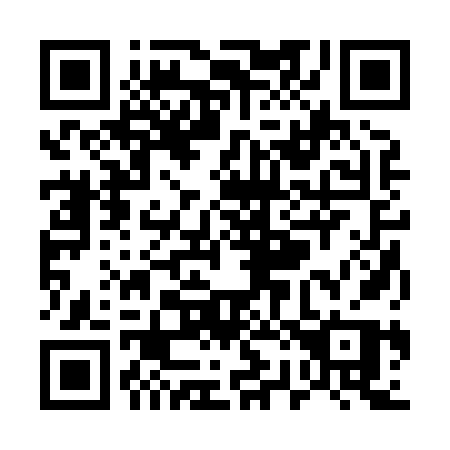QR code for U2286P