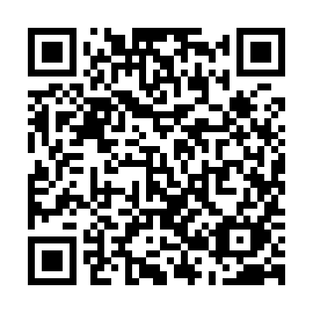 QR code for U2999M