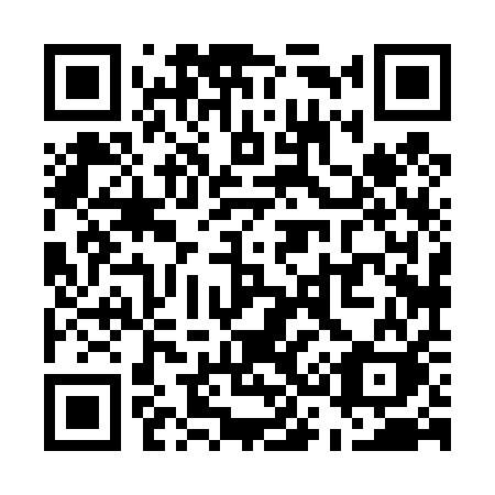 QR code for plate U38-41K
