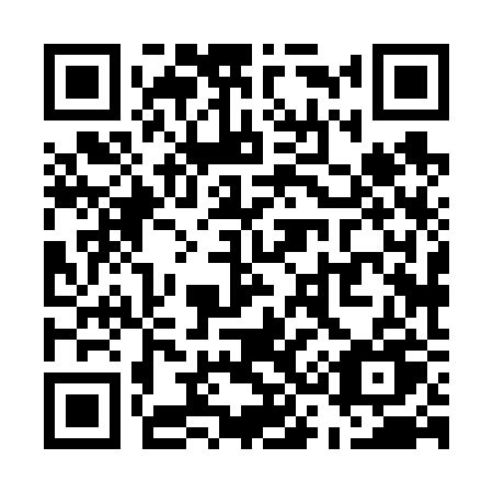 QR code for plate U38-62U