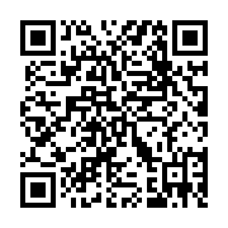 QR code for plate U38-81L