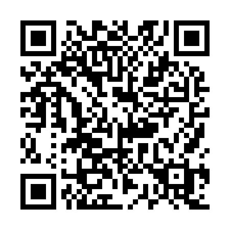 QR code for U3896H