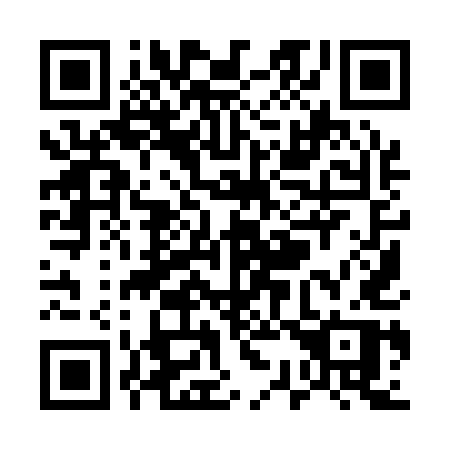QR code for plate U39-15P