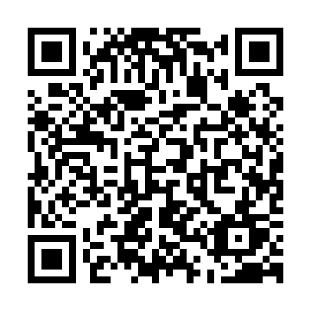 QR code for U4113T