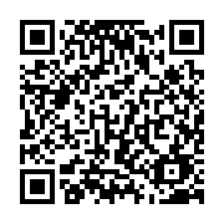 QR code for plate U41-33D