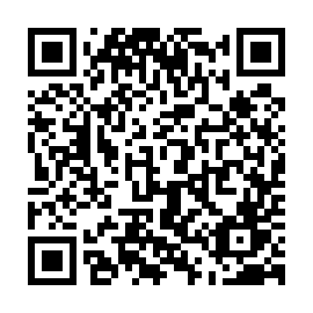 QR code for plate U43-55V