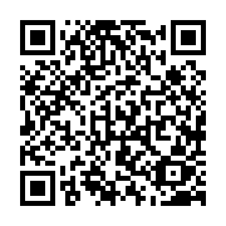 QR code for U4811Z