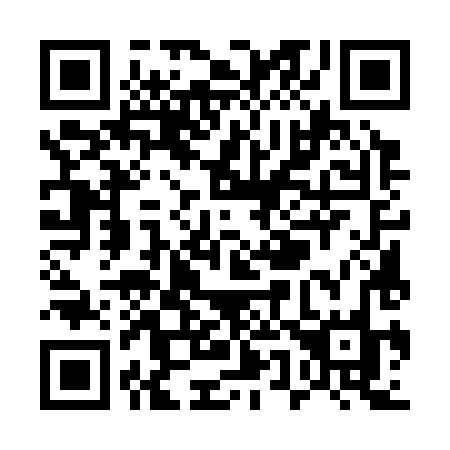 QR code for plate U55-38O