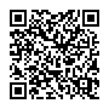 QR code for plate U55-80T