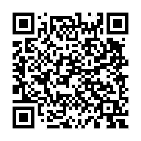 QR code for plate U60-49P