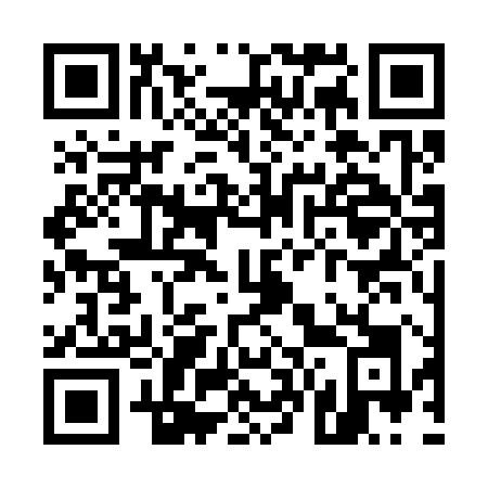 QR code for plate U63-38K