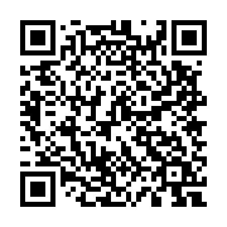 QR code for plate U65-51V