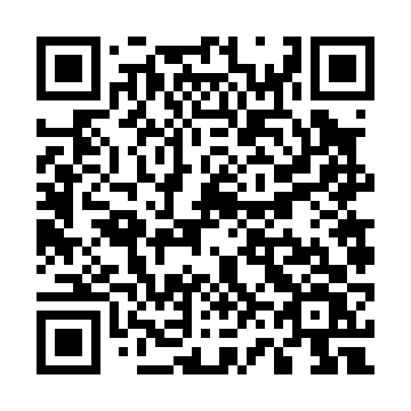 QR code for plate U66-06V