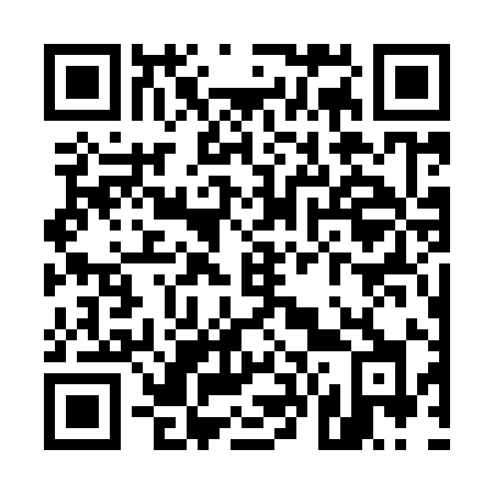 QR code for plate U67-99H