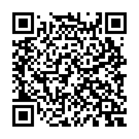 QR code for U6838A