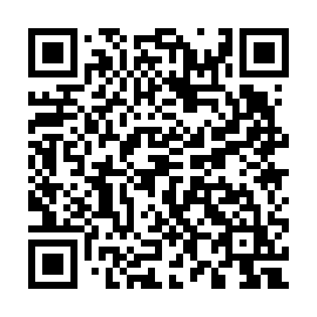 QR code for plate U81-61Z