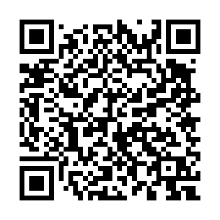 QR code for U8541P