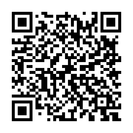 QR code for plate U85-82X
