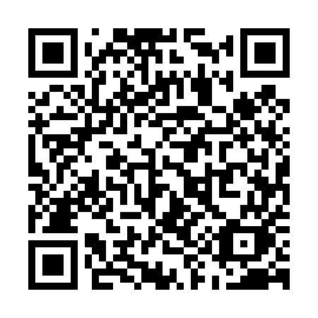 QR code for plate U95-45K
