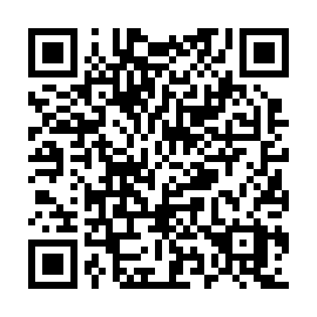 QR code for U96-20X