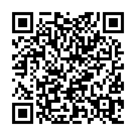 QR code for plate U96-99G