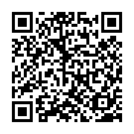 QR code for plate UAM-410
