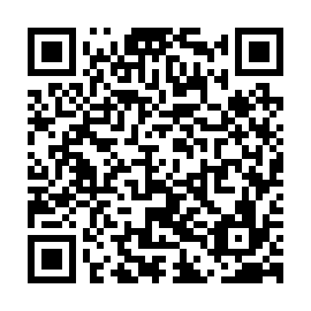 QR code for UDG-236