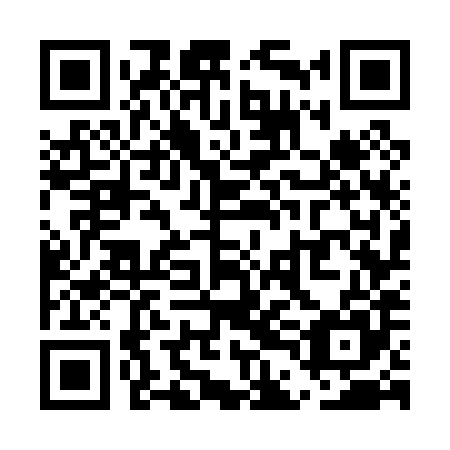 QR code for plate UDG-085