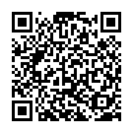 QR code for UDI078