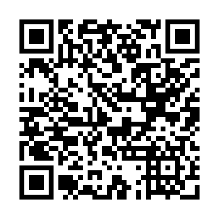 QR code for plate UDK-907