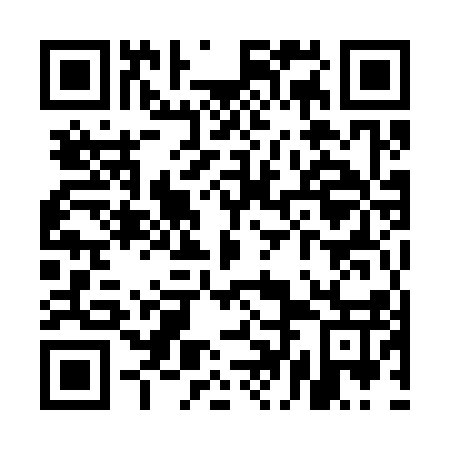 QR code for plate UDM-317