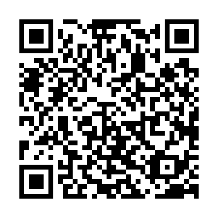 QR code for UDP-739