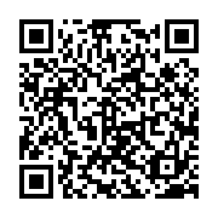 QR code for plate UDT-133