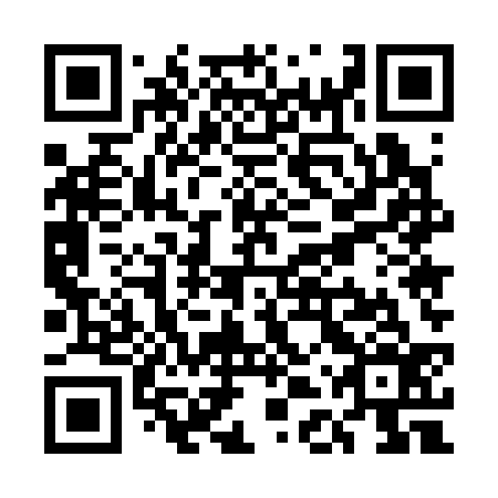 QR code for plate UDU-336