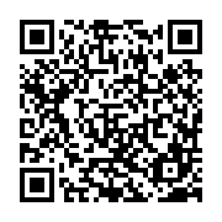 QR code for UDZ-206