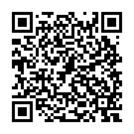 QR code for UEB393