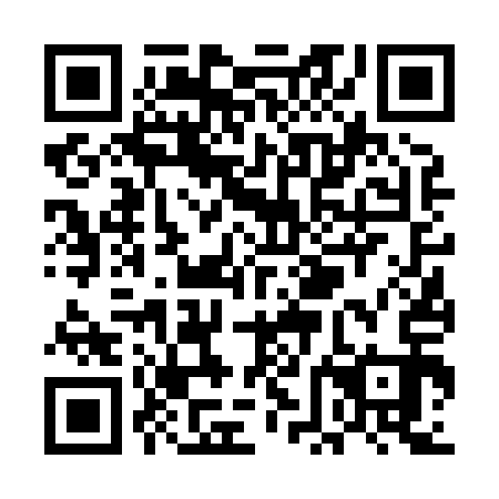 QR code for plate UFF-813