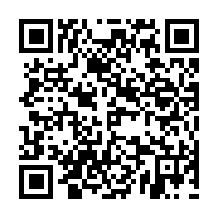 QR code for plate UXM-295