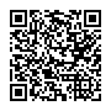 QR code for plate UZD-319