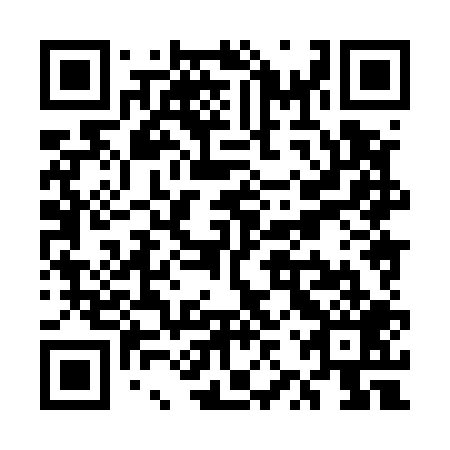 QR code for plate UZX-509